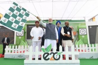 E20 Fuel India