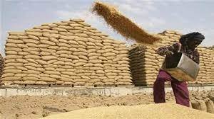 Food Security Measures