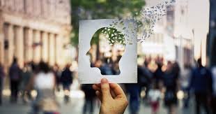 Human Psychology