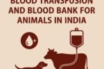 India Unveils First National Guidelines for Animal Blood Transfusion and Blood Banks