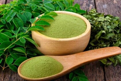Moringa benefits