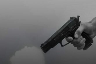 Cattle Transporter Shoots Cow Vigilante Near Hyderabad, Arrests Made