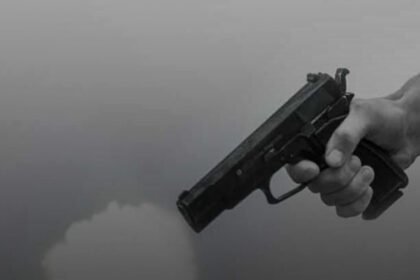 Cattle Transporter Shoots Cow Vigilante Near Hyderabad, Arrests Made