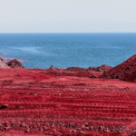 Heavy Rains Turn Iran’s Sahel Sorkh “Red Beach” Blood Red