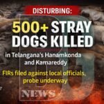 Mass Killing of Stray Dogs in Telangana