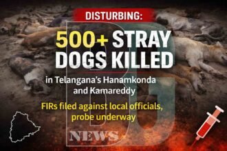 Mass Killing of Stray Dogs in Telangana
