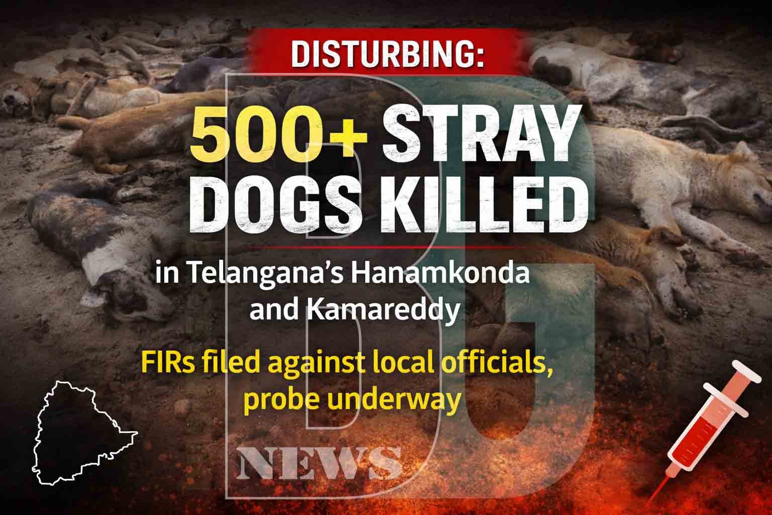 Mass Killing of Stray Dogs in Telangana