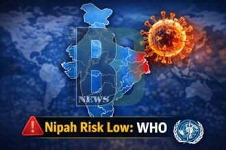 WHO Says Risk of Nipah Virus Spreading Beyond India Is Low