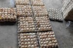 Illegal Bakery Unit Using Rotten Eggs Busted in Katedan