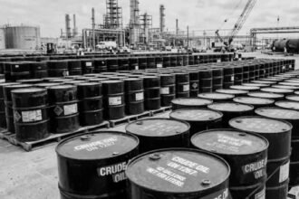 India Looks for Alternative Crude Oil Supplies