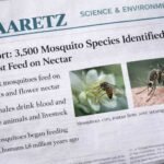 Report Highlights Mosquito Behavior and Species Diversity