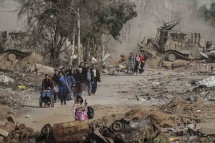 Gaza Shows Signs of Recovery