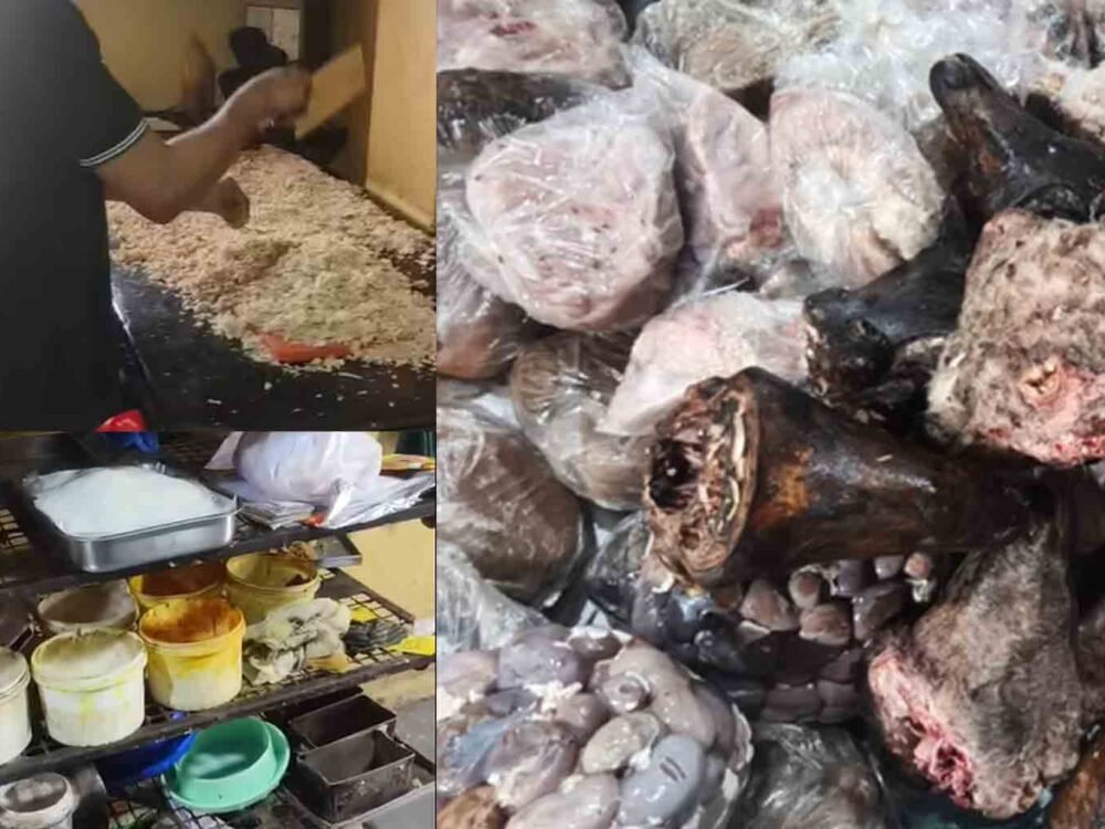 Police Bust Illegal Bakery and Rotten Meat Racket