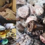 Police Bust Illegal Bakery and Rotten Meat Racket