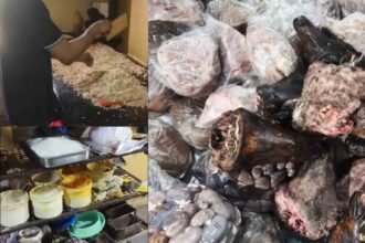 Police Bust Illegal Bakery and Rotten Meat Racket