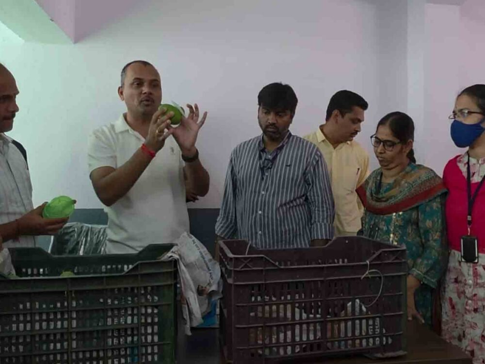 Safe Mango Ripening Held in Hyderabad