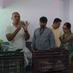 Safe Mango Ripening Held in Hyderabad