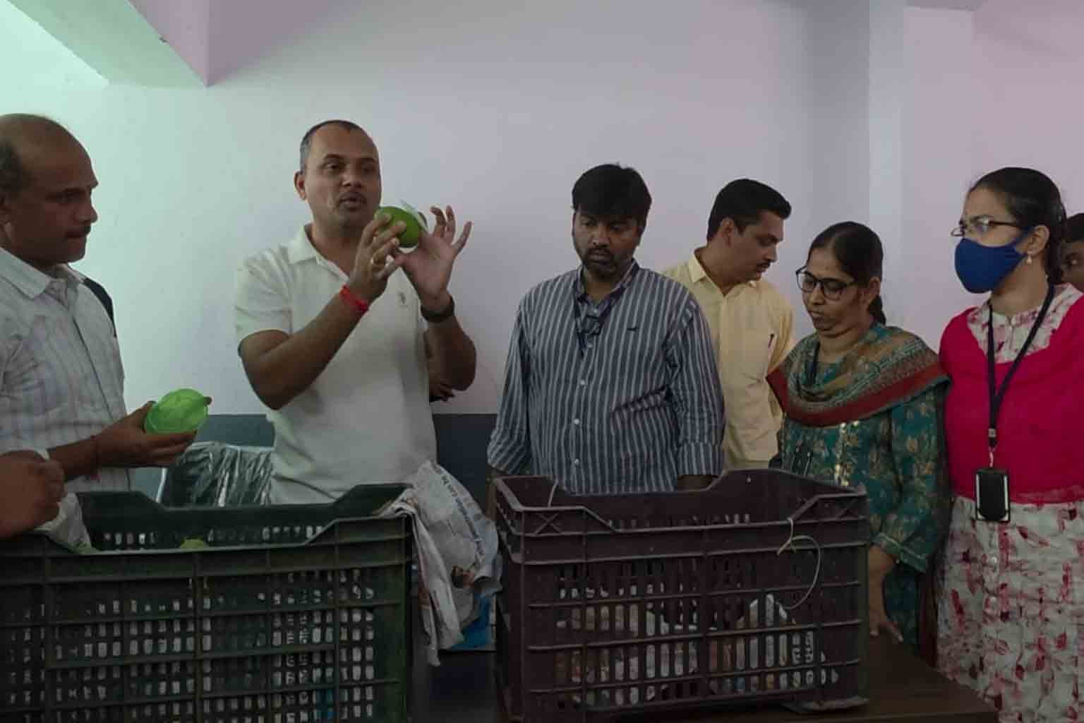 Safe Mango Ripening Held in Hyderabad