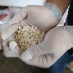 India Seizes ₹182 Crore Illegal Drugs