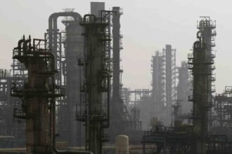 India’s Chemical Industry