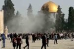 Saudi Arabia, 8 Muslim Nations Condemn