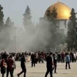 Saudi Arabia, 8 Muslim Nations Condemn