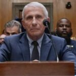 Former top U.S. infectious disease expert Anthony Fauci