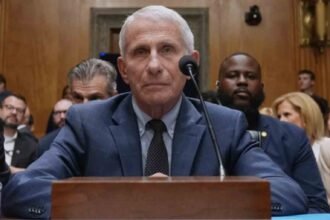 Former top U.S. infectious disease expert Anthony Fauci