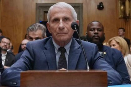 Former top U.S. infectious disease expert Anthony Fauci