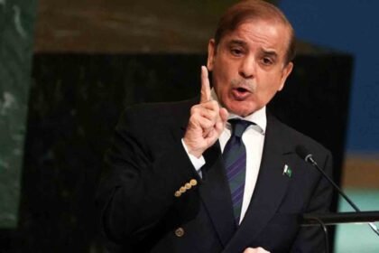 Pakistan PM Shehbaz Sharif Admits Economic Struggles