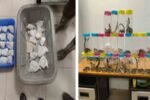 DRI Busts Wildlife Smuggling Attempt