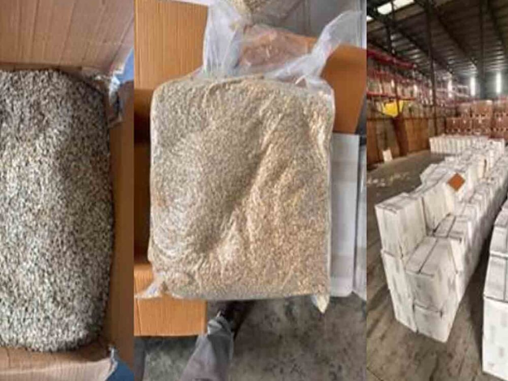 DRI Seizes 25,000 Kg of Pakistani Origin Watermelon Seeds