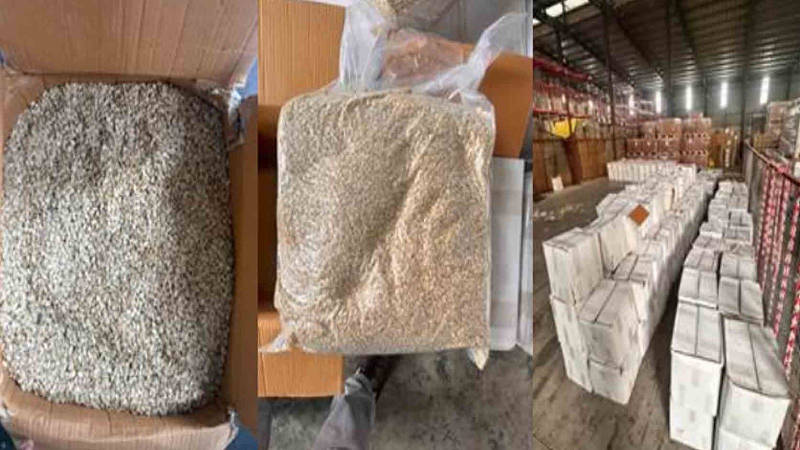 DRI Seizes 25,000 Kg of Pakistani Origin Watermelon Seeds