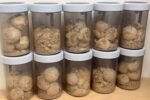 DRI Seizes 5.6 Kg of Heroin in Punjab
