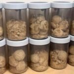 DRI Seizes 5.6 Kg of Heroin in Punjab