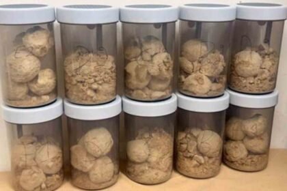 DRI Seizes 5.6 Kg of Heroin in Punjab