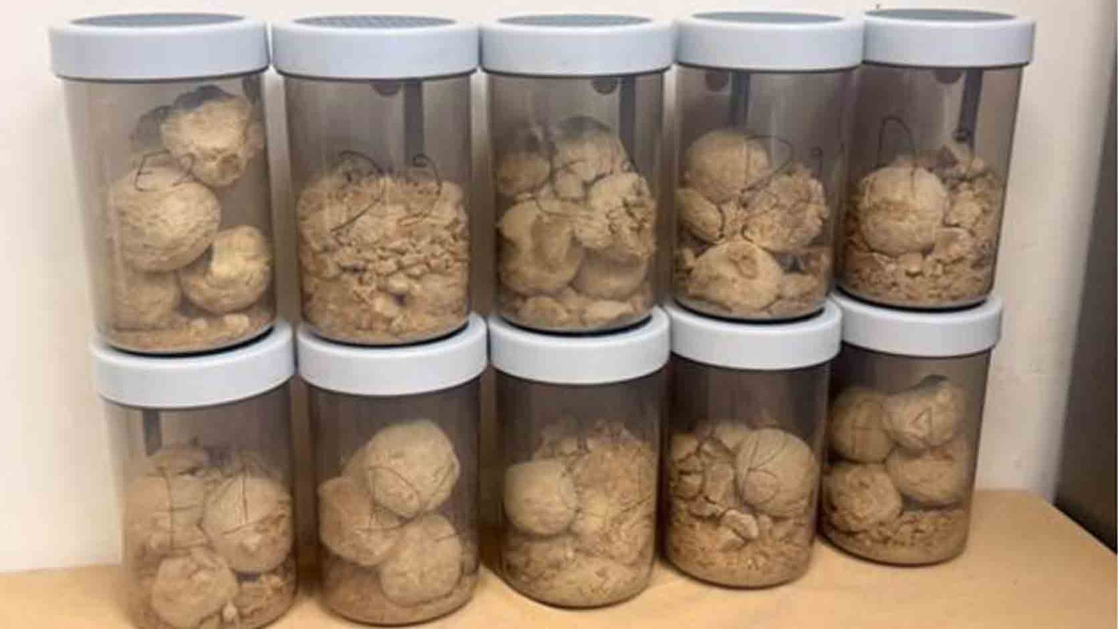 DRI Seizes 5.6 Kg of Heroin in Punjab