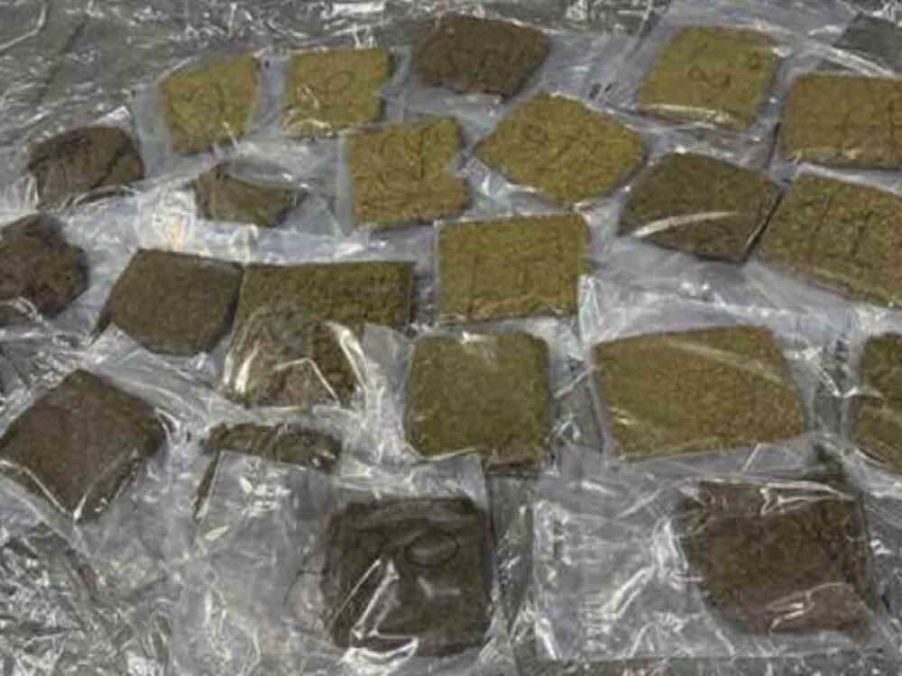 Delhi Customs Seizes 23.22 Kg of Hydroponic Marijuana