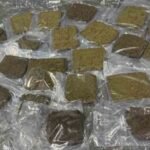 Delhi Customs Seizes 23.22 Kg of Hydroponic Marijuana