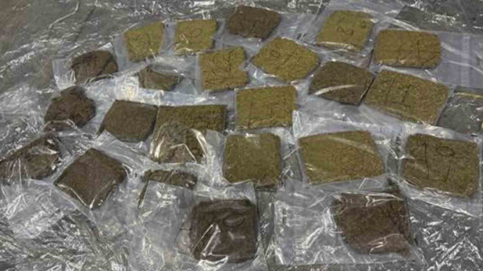Delhi Customs Seizes 23.22 Kg of Hydroponic Marijuana