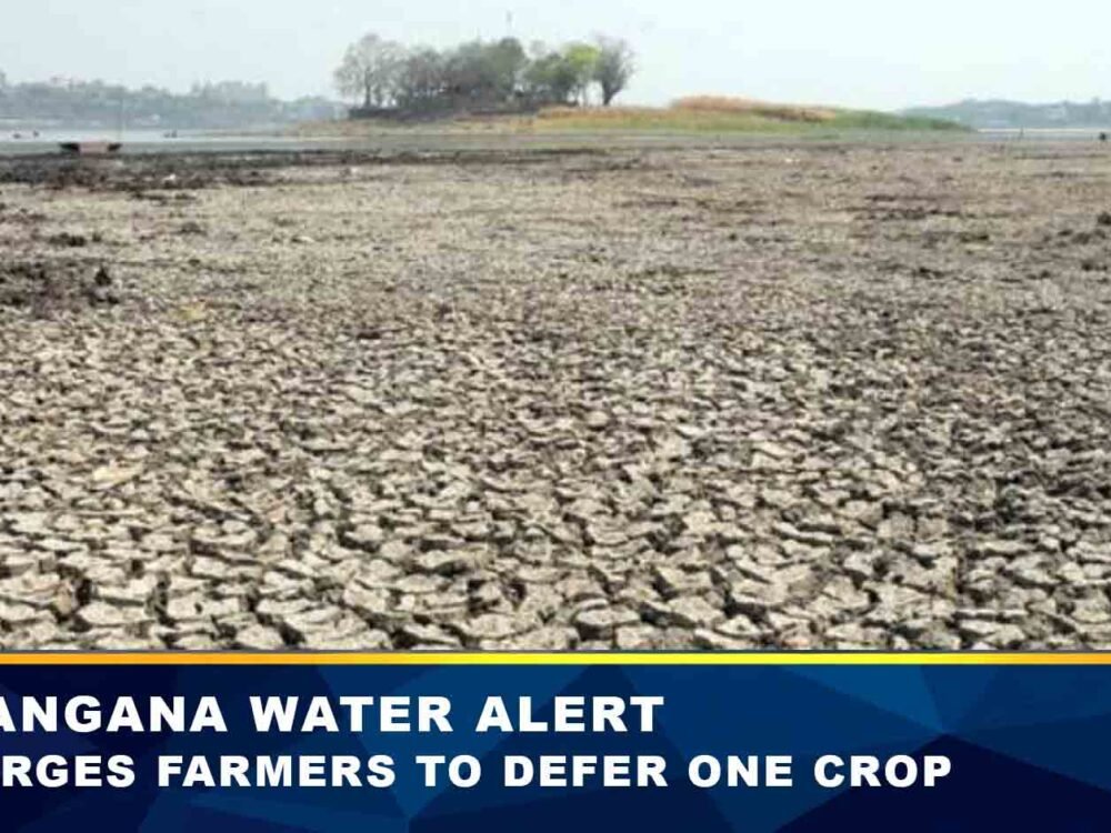 Telangana CM Appeals to Farmers